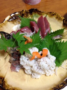 10258968_513605848744813_1592771237073411092_n