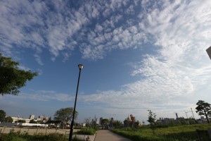 11770198_949275735135264_395364981_o